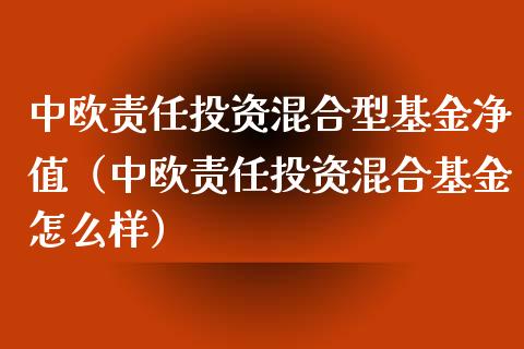 中欧责任投资混合型基金净值（中欧责任投资混合基金怎么样）_https://www.fsyjjx.cn_理财资讯_第1张