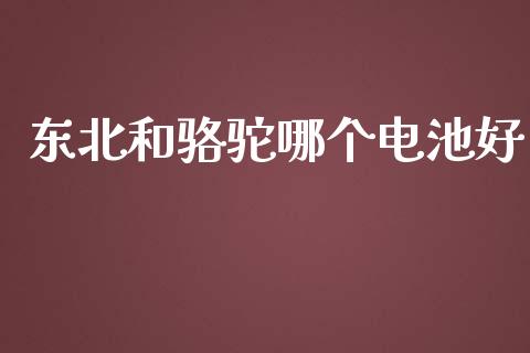 东北和骆驼哪个电池好_https://www.fsyjjx.cn_期货研报_第1张