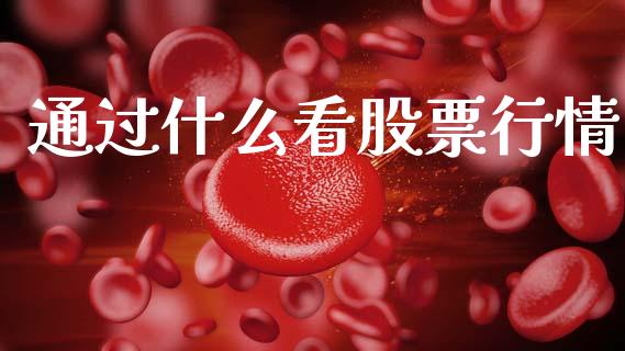通过什么看股票行情_https://www.fsyjjx.cn_股市分析_第1张