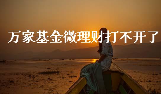 万家基金微理财打不开了_https://www.fsyjjx.cn_理财资讯_第1张