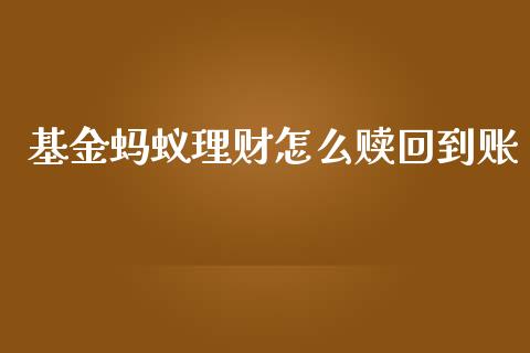 基金蚂蚁理财怎么赎回到账_https://www.fsyjjx.cn_问财精选_第1张