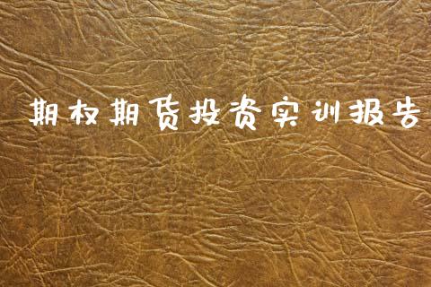 期权期货投资实训报告_https://www.fsyjjx.cn_期货资讯_第1张
