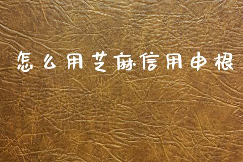 怎么用芝麻信用申根_https://www.fsyjjx.cn_期货资讯_第1张
