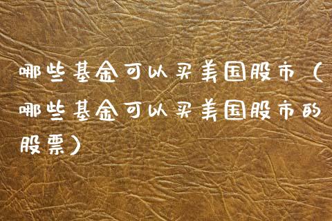 哪些基金可以买美国股市（哪些基金可以买美国股市的股票）_https://www.fsyjjx.cn_理财资讯_第1张