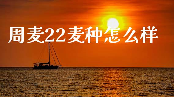 周麦22麦种怎么样_https://www.fsyjjx.cn_股市分析_第1张