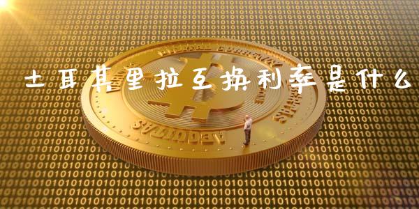 土耳其里拉互换利率是什么_https://www.fsyjjx.cn_期货研报_第1张