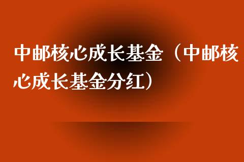 中邮核心成长基金（中邮核心成长基金分红）_https://www.fsyjjx.cn_问财精选_第1张