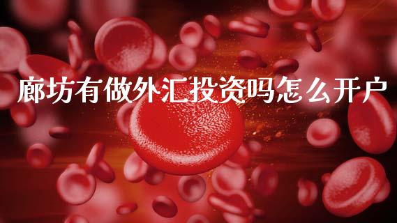 廊坊有做外汇投资吗怎么开户_https://www.fsyjjx.cn_期货在线_第1张