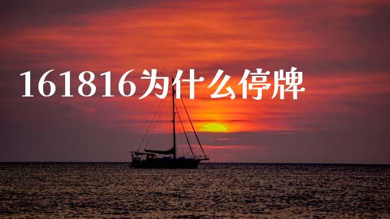 161816为什么停牌_https://www.fsyjjx.cn_期货在线_第1张