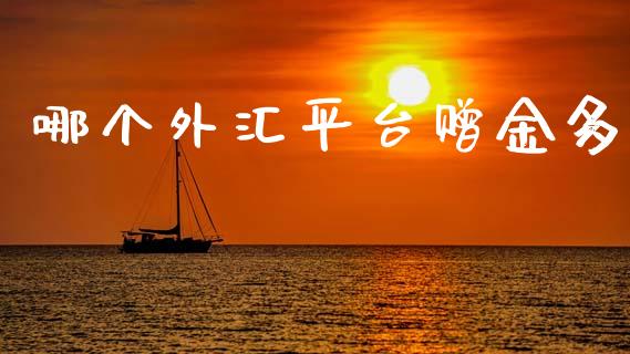 哪个外汇平台赠金多_https://www.fsyjjx.cn_股票指导_第1张