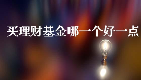 买理财基金哪一个好一点_https://www.fsyjjx.cn_问财精选_第1张