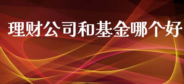 理财公司和基金哪个好_https://www.fsyjjx.cn_问财精选_第1张