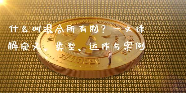 什么叫混合所有制？一文详解定义、类型、运作与案例_https://www.fsyjjx.cn_期货在线_第1张