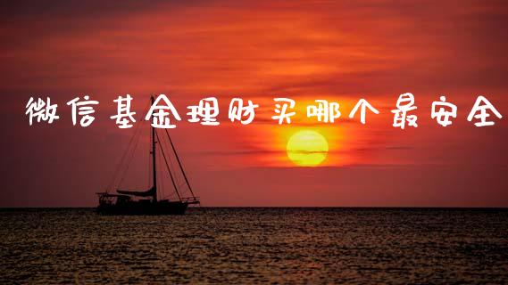 微信基金理财买哪个最安全_https://www.fsyjjx.cn_问财精选_第1张