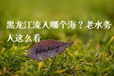 黑龙江流入哪个海？老水务人这么看_https://www.fsyjjx.cn_问财精选_第1张