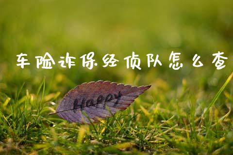 车险诈保经侦队怎么查_https://www.fsyjjx.cn_问财精选_第1张