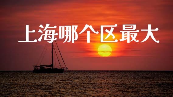 上海哪个区最大_https://www.fsyjjx.cn_股市分析_第1张