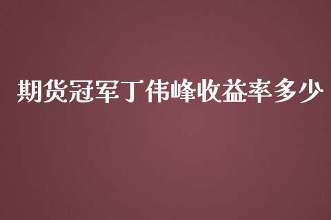 期货冠军丁伟峰收益率多少_https://www.fsyjjx.cn_期货资讯_第1张
