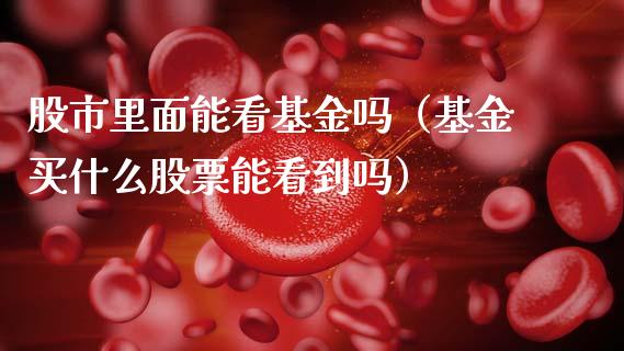 股市里面能看基金吗（基金买什么股票能看到吗）_https://www.fsyjjx.cn_问财精选_第1张
