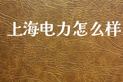上海电力怎么样_https://www.fsyjjx.cn_期货资讯_第1张