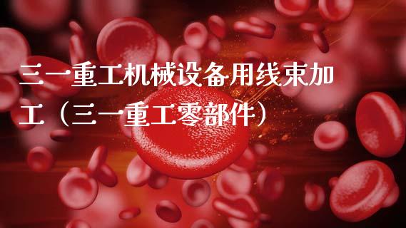 三一重工机械设备用线束加工（三一重工零部件）_https://www.fsyjjx.cn_股票指导_第1张