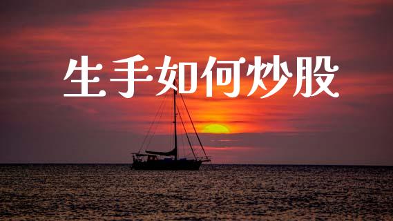生手如何炒股_https://www.fsyjjx.cn_问财精选_第1张