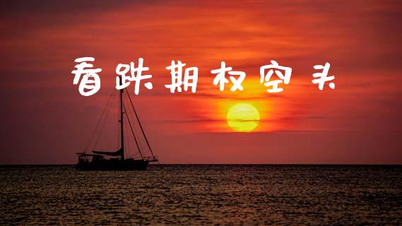 看跌期权空头_https://www.fsyjjx.cn_期货研报_第1张