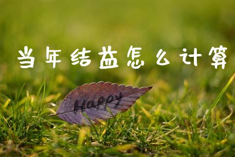 当年结益怎么计算_https://www.fsyjjx.cn_问财精选_第1张