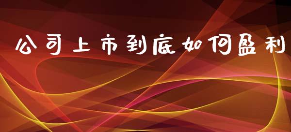 公司上市到底如何盈利_https://www.fsyjjx.cn_期货资讯_第1张