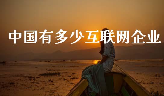 中国有多少互联网企业_https://www.fsyjjx.cn_问财精选_第1张