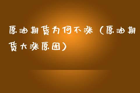 原油期货为何不涨（原油期货大涨原因）_https://www.fsyjjx.cn_期货资讯_第1张