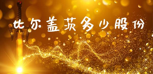 比尔盖茨多少股份_https://www.fsyjjx.cn_股指期货_第1张