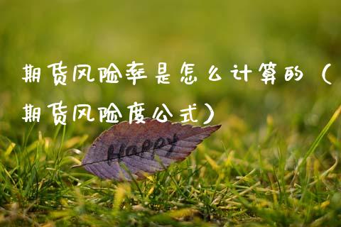 期货风险率是怎么计算的（期货风险度公式）_https://www.fsyjjx.cn_期货在线_第1张