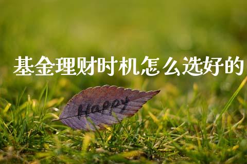 基金理财时机怎么选好的_https://www.fsyjjx.cn_问财精选_第1张
