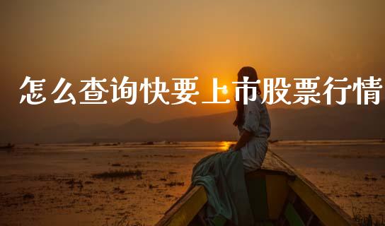 怎么查询快要上市股票行情_https://www.fsyjjx.cn_股票指导_第1张