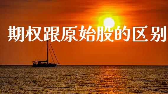 期权跟原始股的区别_https://www.fsyjjx.cn_期货研报_第1张
