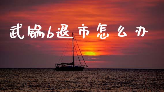 武锅b退市怎么办_https://www.fsyjjx.cn_期货在线_第1张