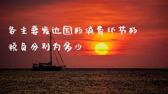 各主要发达国的消费环节的税负分别为多少_https://www.fsyjjx.cn_股票指导_第1张