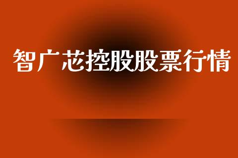智广芯控股股票行情_https://www.fsyjjx.cn_股票指导_第1张