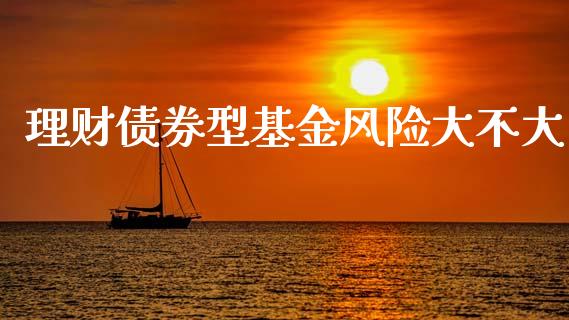 理财债券型基金风险大不大_https://www.fsyjjx.cn_理财资讯_第1张