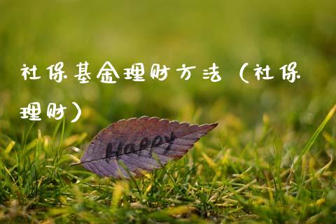 社保基金理财方法（社保 理财）_https://www.fsyjjx.cn_问财精选_第1张