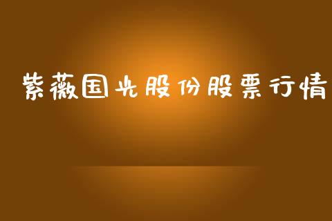 紫薇国光股份股票行情_https://www.fsyjjx.cn_股市分析_第1张