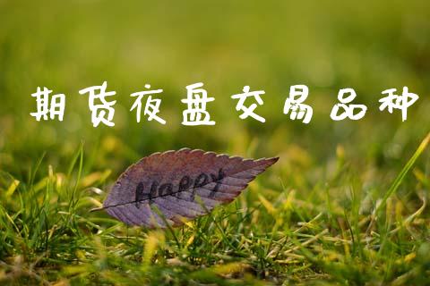 期货夜盘交易品种_https://www.fsyjjx.cn_股票指导_第1张