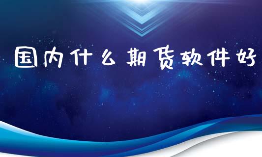 国内什么期货软件好_https://www.fsyjjx.cn_期货资讯_第1张