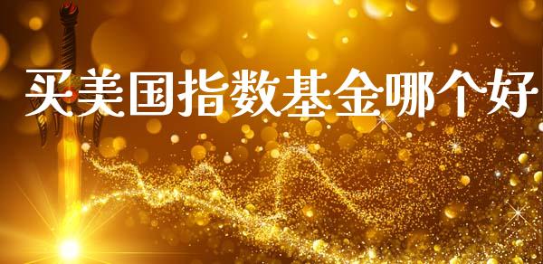 买美国指数基金哪个好_https://www.fsyjjx.cn_期货资讯_第1张