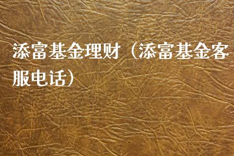 添富基金理财（添富基金客服电话）_https://www.fsyjjx.cn_理财资讯_第1张