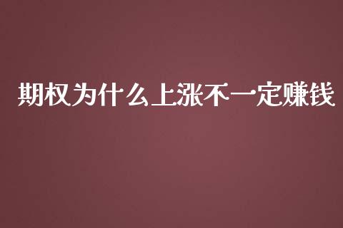 期权为什么上涨不一定赚钱_https://www.fsyjjx.cn_期货研报_第1张