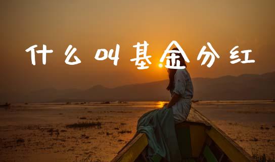 什么叫基金分红_https://www.fsyjjx.cn_股票指导_第1张