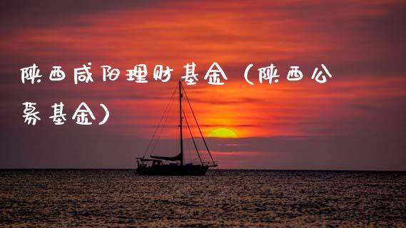 陕西咸阳理财基金（陕西公募基金）_https://www.fsyjjx.cn_问财精选_第1张