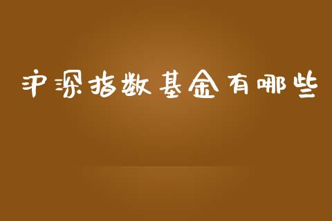 沪深指数基金有哪些_https://www.fsyjjx.cn_期货资讯_第1张